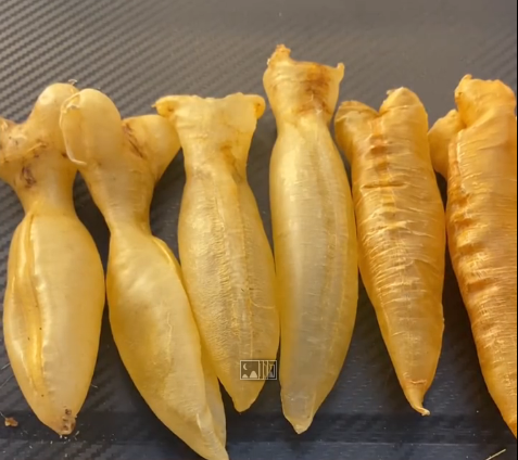 【宏康回收案例】一段關於歲月沉澱的珍貴海味——陳先生的頂級老花膠與白燕盞回收記