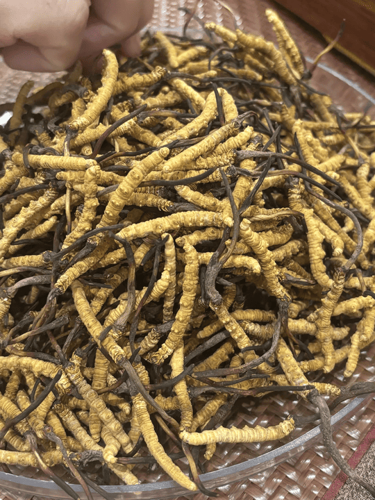 家中有頂級海味，點樣搵一間靠譜嘅香港回收商？