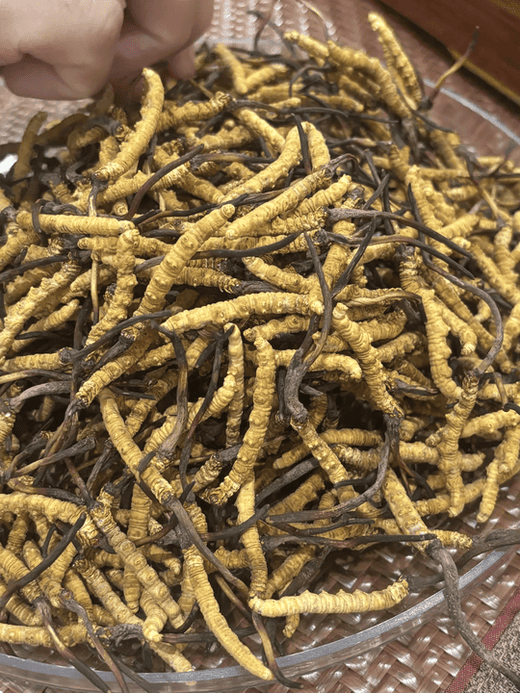 家中有頂級海味，點樣搵一間靠譜嘅香港回收商？