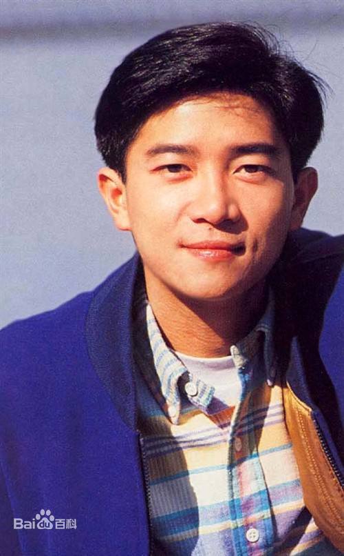Danny Chan’s Just Loving You: Pressings, Publication Data and Inserts reference image for identification and condition review
