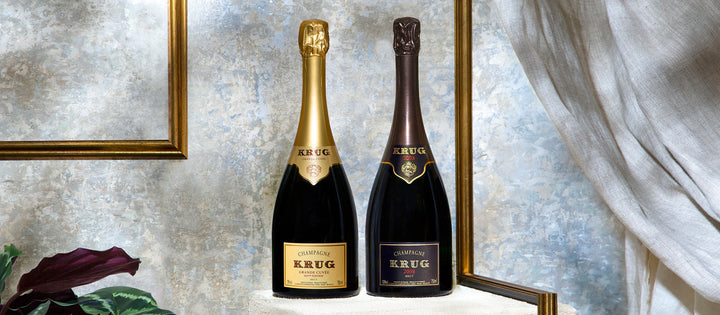 Krug Champagne: House History, Cuvée Names and Vintage Markings reference image for identification and condition review