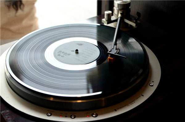 Living with Vinyl: Playback Preparation, Pressing Records and Storage reference image for identification and condition review