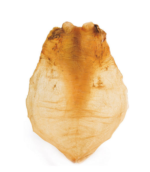 Fish Maw Series buyback appraisal by Hong Kang Trading