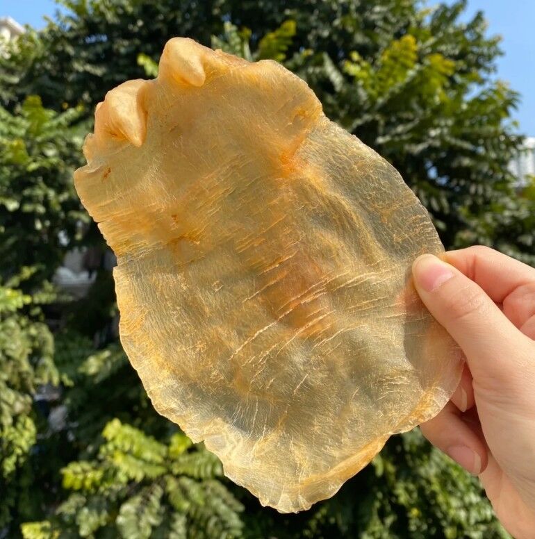 宏康酒行門市實拍 - 白花膠