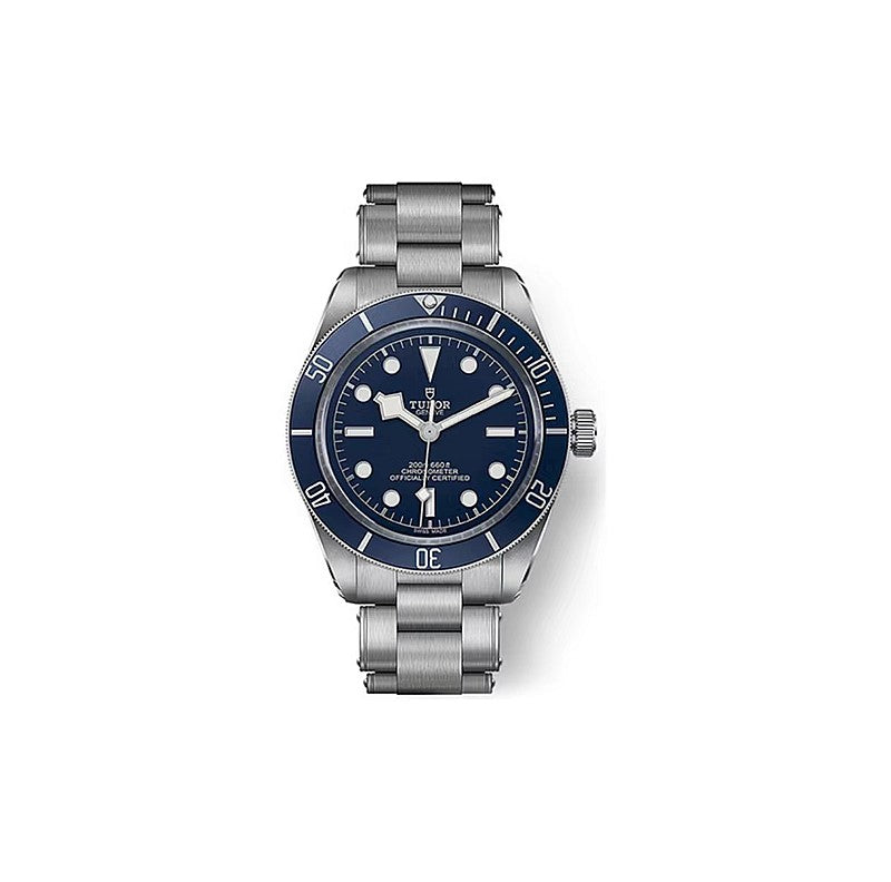 Tudor Watch