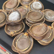 24小时在线回收鮑魚蟲草燕窩海參等高檔禮品盒 瓶身正面照｜宏康酒行回收參考